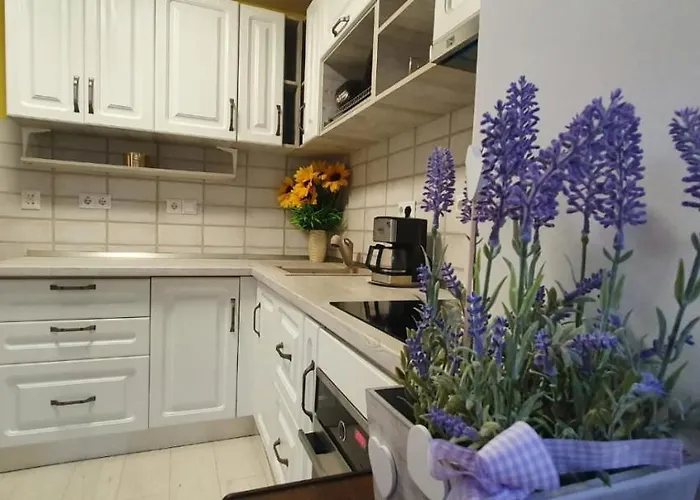 Apartament 3 Camere Spatios