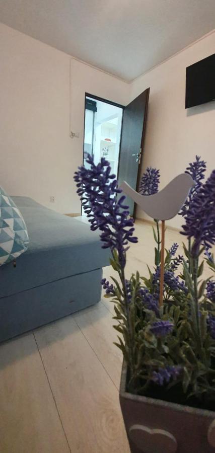 Apartment Apartament 3 Spatios *