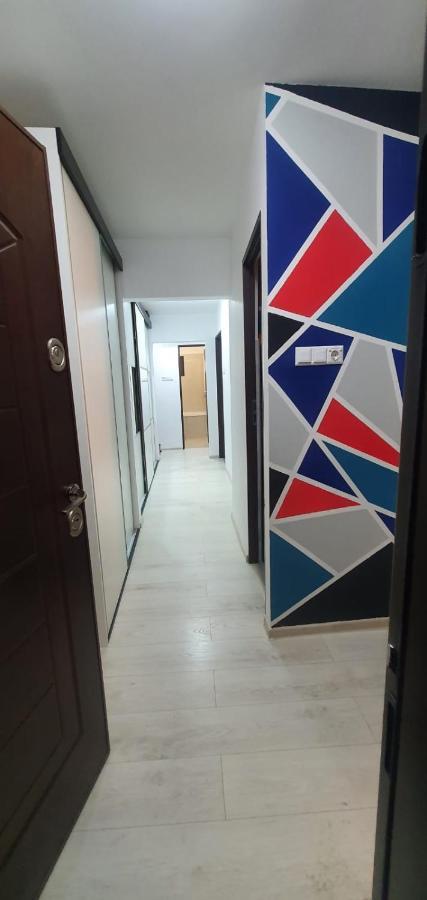 Apartament 3 Spatios Apartment Timisoara